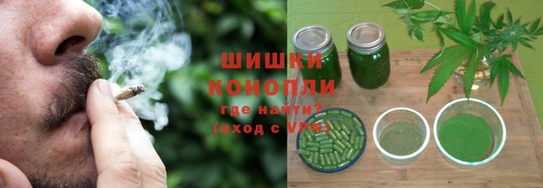 амф Дмитриев