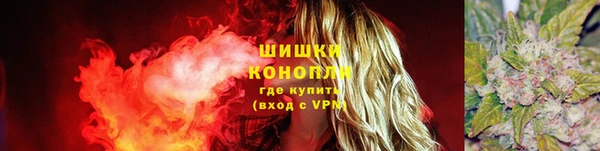 амф Дмитриев