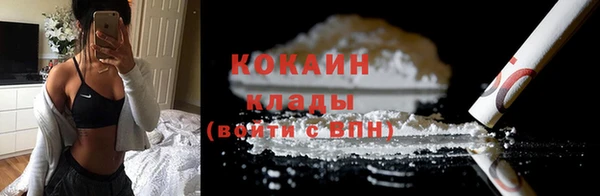 амф Дмитриев