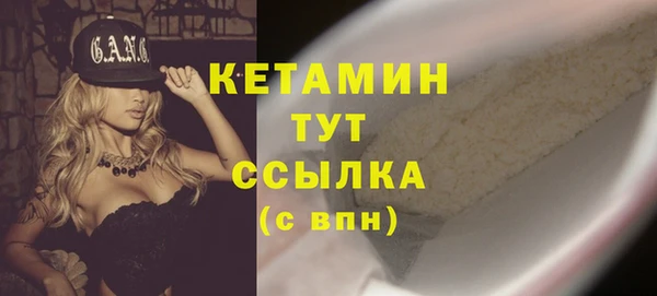 амф Дмитриев