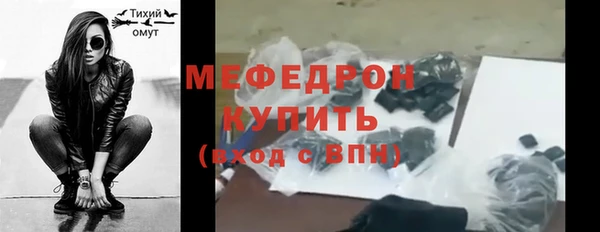 мдпв Никольск