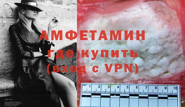 амф Дмитриев
