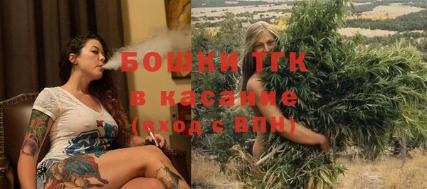 амф Дмитриев