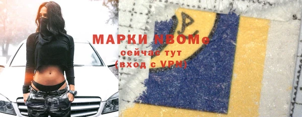 твердый Тайга