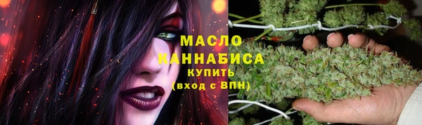 амф Дмитриев